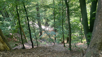 Prodej chaty / chalupy 25 m², Červená Hora