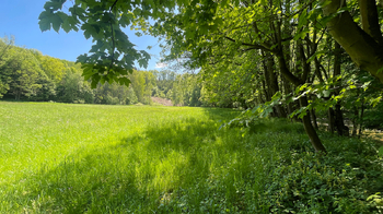 Prodej chaty / chalupy 25 m², Červená Hora