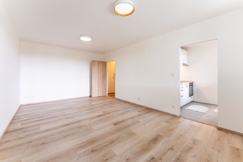 pohled z lodžie do pokoje - Pronájem bytu 1+1 v osobním vlastnictví 35 m², Praha 8 - Kobylisy
