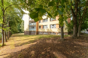 pohled ze zeleně - Pronájem bytu 1+1 v osobním vlastnictví 35 m², Praha 8 - Kobylisy