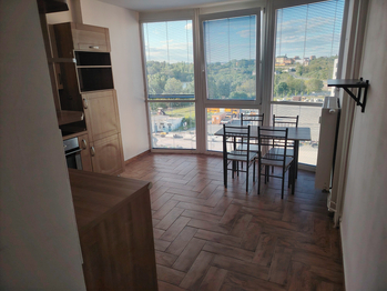 Pronájem bytu 2+1 v osobním vlastnictví 70 m², Plzeň