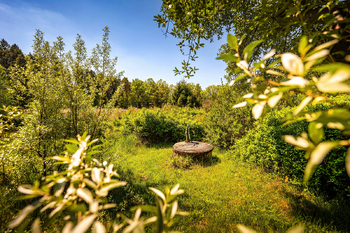 Prodej chaty / chalupy 46 m², Křemže
