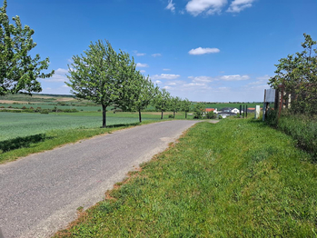 Prodej pozemku 1127 m², Nový Šaldorf-Sedlešovice