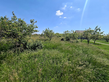 Prodej pozemku 1127 m², Nový Šaldorf-Sedlešovice