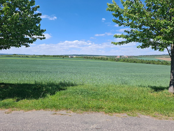 Prodej pozemku 1127 m², Nový Šaldorf-Sedlešovice