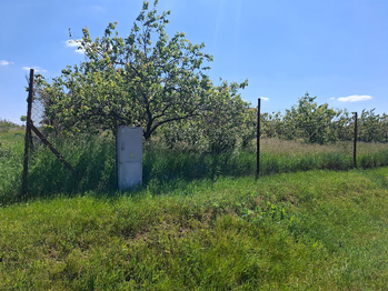 Prodej pozemku 1127 m², Nový Šaldorf-Sedlešovice