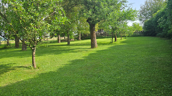 Prodej pozemku 564 m², Hvozdec