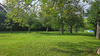 Prodej pozemku 564 m², Hvozdec