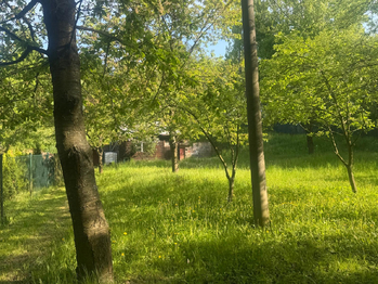 Prodej pozemku 767 m², Přerov
