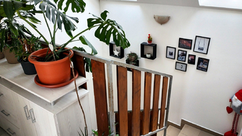 Prodej domu 133 m², Loštice