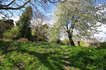 Prodej pozemku 892 m², Hradečno