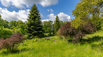 Prodej domu 287 m², Žandov