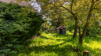 Prodej domu 287 m², Žandov