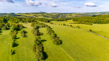 Prodej domu 287 m², Žandov