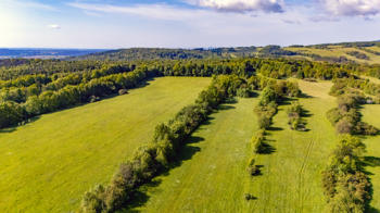 Prodej domu 287 m², Žandov