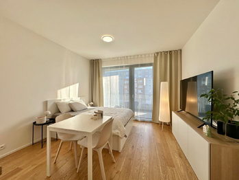 Pronájem bytu 1+kk v osobním vlastnictví 34 m², Praha 10 - Strašnice
