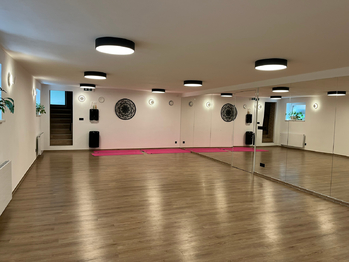 1. sportovní sál - Pronájem obchodních prostor 192 m², Zubří