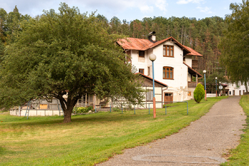 Prodej pozemku 7022 m², Podhradí nad Dyjí
