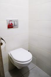 +420 604 191 744 I denisa.myslivcova@re-max.cz - Prodej domu 361 m², Ludgeřovice