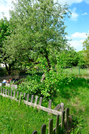 Prodej domu 163 m², Orlová