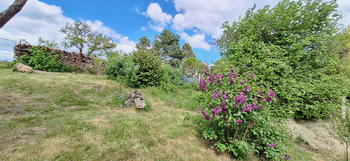 Zahrada - Prodej domu 65 m², Ruprechtov