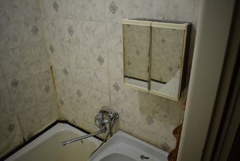 Koupelna - Prodej bytu 2+1 v osobním vlastnictví 48 m², Jeseník