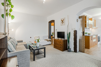 Prodej bytu 3+1 v družstevním vlastnictví 114 m², Střemy