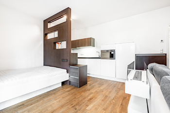 Prodej bytu 1+kk v osobním vlastnictví 37 m², Praha 3 - Žižkov