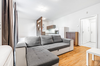 Prodej bytu 1+kk v osobním vlastnictví 37 m², Praha 3 - Žižkov