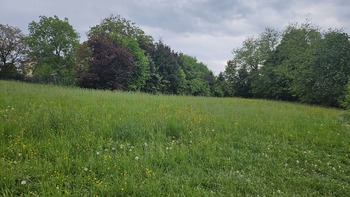 Prodej pozemku 2326 m², Český Těšín
