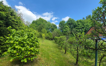Prodej bytu atypický v osobním vlastnictví 2816 m², Janůvky