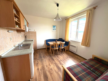 Pronájem bytu 1+1 v osobním vlastnictví 37 m², Borová Lada
