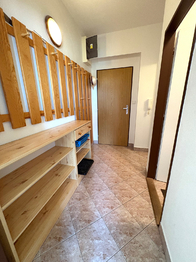 Pronájem bytu 1+1 v osobním vlastnictví 37 m², Borová Lada