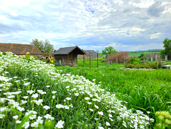 Prodej zemědělského objektu 378 m², Podbořany
