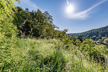 Prodej pozemku 1170 m², Tupadly