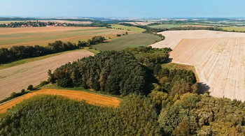 Prodej pozemku 11138 m², Panoší Újezd