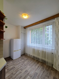 Pronájem bytu 2+1 v osobním vlastnictví 57 m², Zábřeh