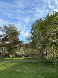 Prodej pozemku 1140 m², Čelákovice