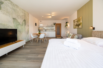 Prodej bytu 1+kk v osobním vlastnictví 41 m², Abertamy