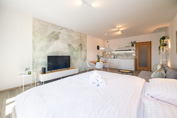 Prodej bytu 1+kk v osobním vlastnictví 41 m², Abertamy