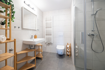Prodej bytu 1+kk v osobním vlastnictví 41 m², Abertamy
