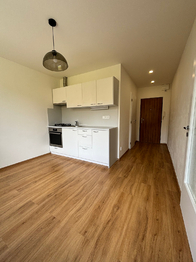 Pronájem bytu 1+1 v osobním vlastnictví 34 m², Liberec