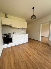 Pronájem bytu 1+1 v osobním vlastnictví 34 m², Liberec