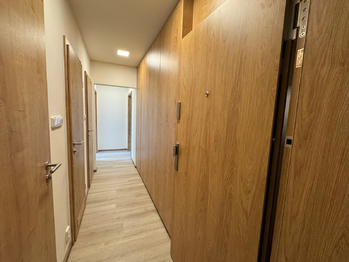 Pronájem bytu 2+1 v osobním vlastnictví 54 m², Kladno