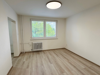 obývací pokoj - Pronájem bytu 2+1 v osobním vlastnictví 54 m², Kladno