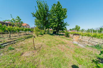 Prodej domu 106 m², Čejkovice