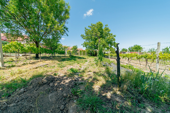Prodej domu 106 m², Čejkovice