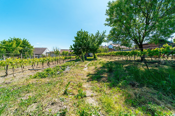Prodej domu 106 m², Čejkovice