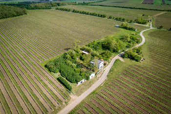 Prodej vinného sklepa Nový Přerov - Prodej vinného sklepa 120 m², Nový Přerov