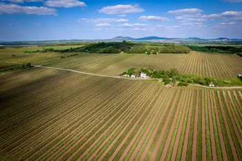 Prodej vinného sklepa Nový Přerov - Prodej vinného sklepa 120 m², Nový Přerov